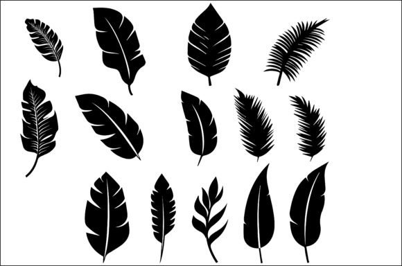 Jungle Dreams Exotic Leaf Silhouettes: A Versatile Tropical Design Resource